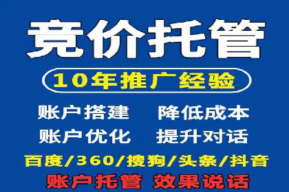 案例解读：网络推广与竞价策略